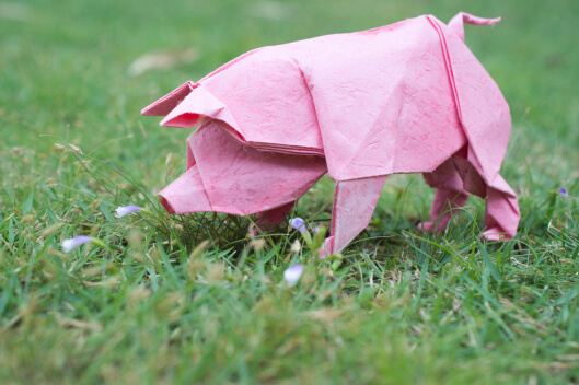 DIY Chinese New Pig Craft For Kindergarten Kids