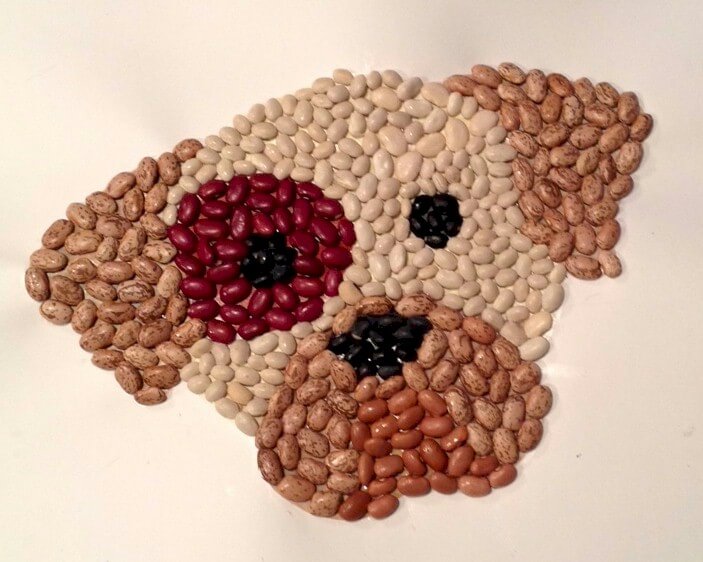 DIY Creative Dog Grain Art For Kids Animal Arts With Seeds &amp; Pulse
