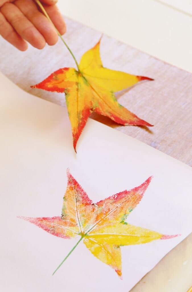 Easy To Make Autumn Dry Leaf Prints Art Idea On Paper