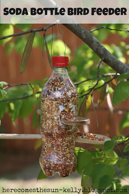 Empty Plastic Soda Bottle Bird Feeder Craft At Home