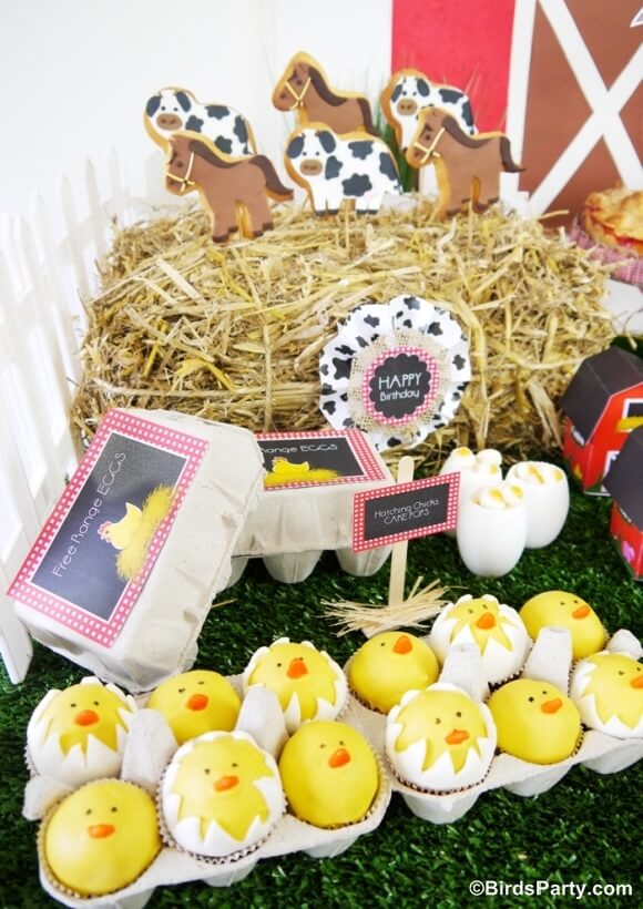 Farm and Barnyard-Themed Party Food Decoration Ideas For Kids
