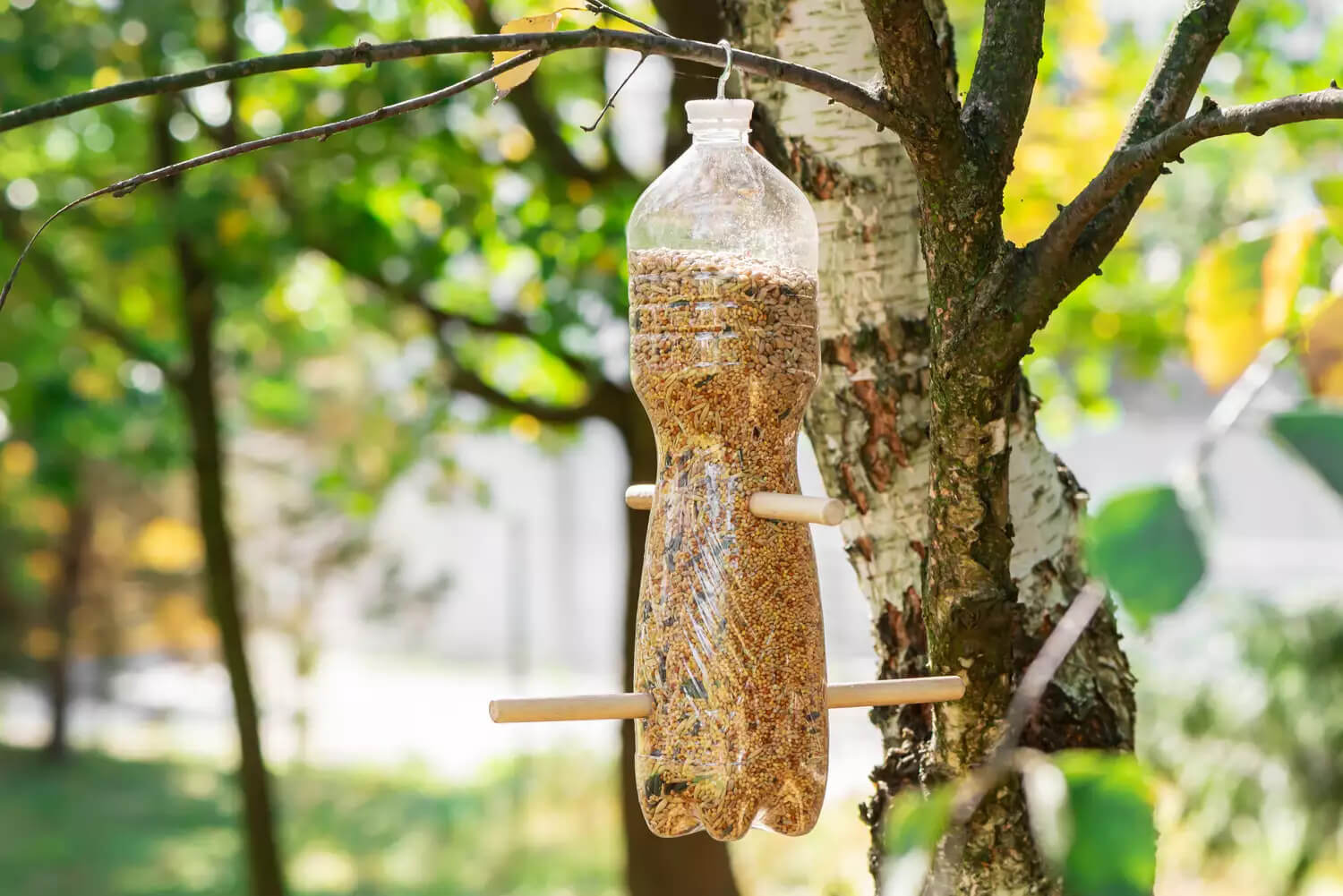 Handmade Bottle Bird Feeder Craft Using Recycled BottleRecycled Bottle Crafts With Seeds