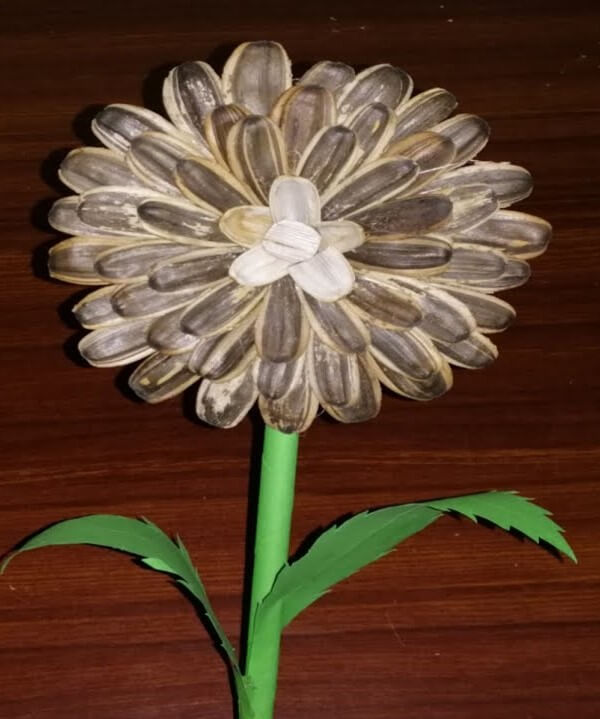 Handmade Sunflower Seeds Shell Craft For School Kids