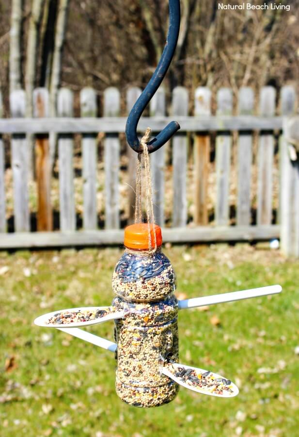Homemade Bird Feeder Craft Out Of Empty Plastic Bottles