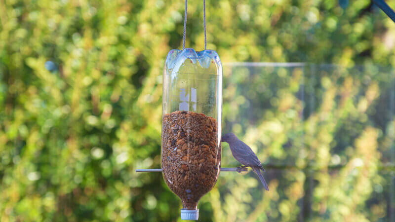 Homemade Birdfeeder Craft In Recycled Plastic Bottle Recycled Plastic Bottle Bird Feeders - Easy DIYs