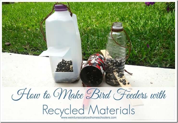 Quick & Easy Bird Feeders Craft Idea Using Recycled Materials