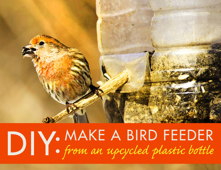 Recycled Plastic Bottle Bird Feeder Craft With Unsharpened Pencil Recycled Plastic Bottle Bird Feeders - Easy DIYs