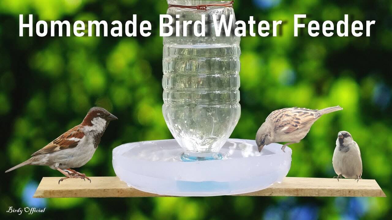 Simple Bird Water Feeder Craft At Home Using Plastic Bottle
