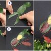 Simple Recycled Bird Art With Leaves - Step by Step Tutorial