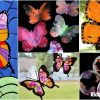 Simple Silhouette Butterfly Art & Craft Ideas