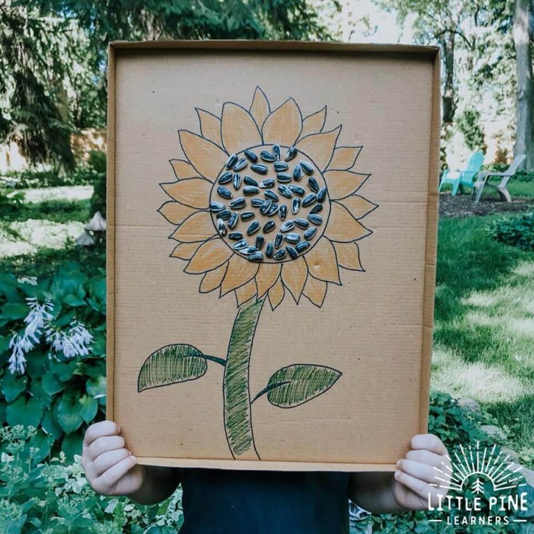 Sunflower Seed Shell Art & Crafts For Kids Kids Art & Craft