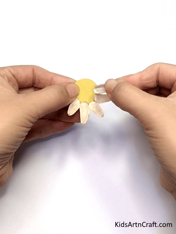 Step by Step Instructions For Sunflower Seeds Flower Craft 