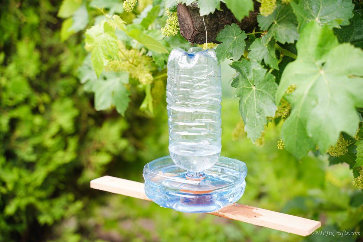 Upcycled Plastic Bottle Bird Water Feeder Craft Idea For Outdoor Recycled Plastic Bottle Bird Feeders - Easy DIYs