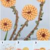 cropped-how-to-make-flower-craft-with-corn-seeds-step-by-step-tutorial-FS-Step-By-Step-kidsartncraft-3.jpg