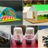 Greenhouse School Project Ideas for Kids