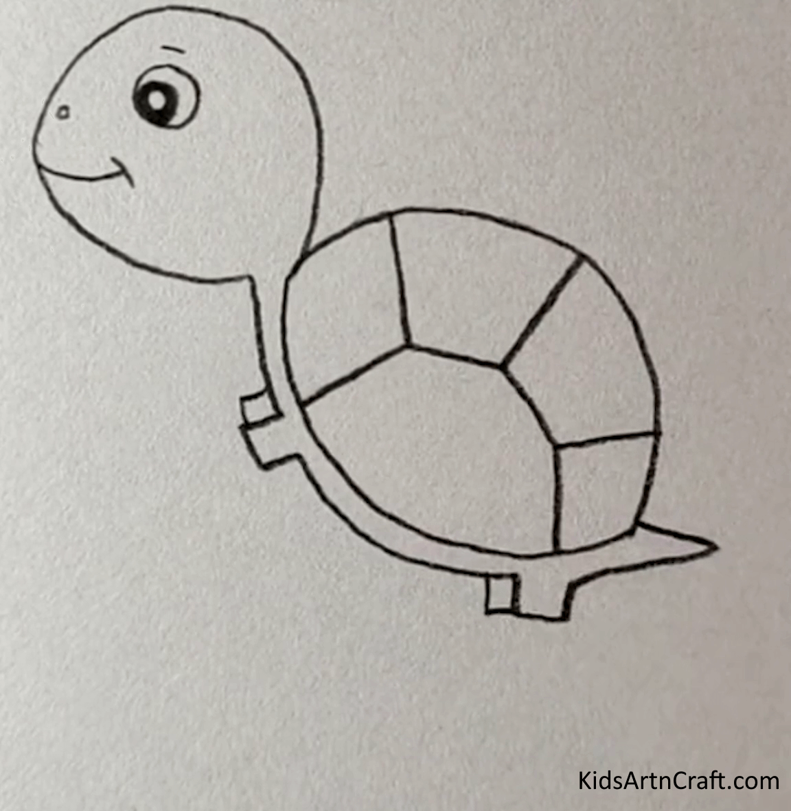 Little Turtle Drawing For Kids - Drawing animals with a pencil - an idea for kids