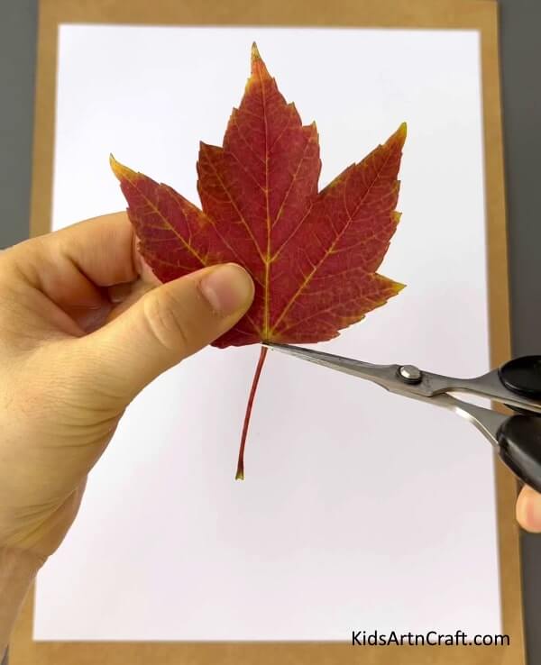 Autumn Leaf Art And Crafts For Children - all Leaves Art And Craft For Kids