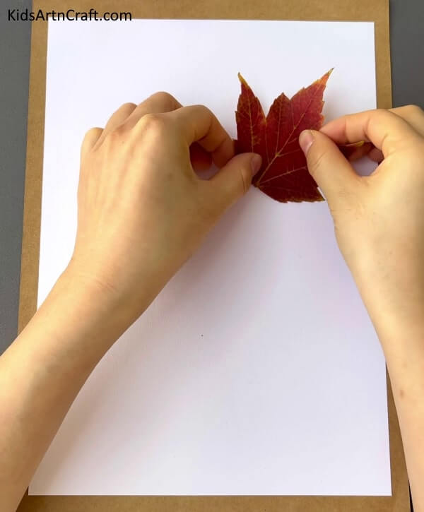 Creative Ideas For Kids Utilizing Fallen Leaves - all Leaves Art And Craft For Kids