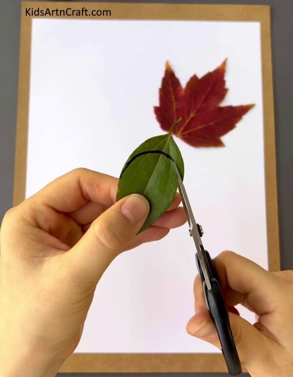  Making Fun Art Projects With Leaves During The Fall Season - all Leaves Art And Craft For Kids