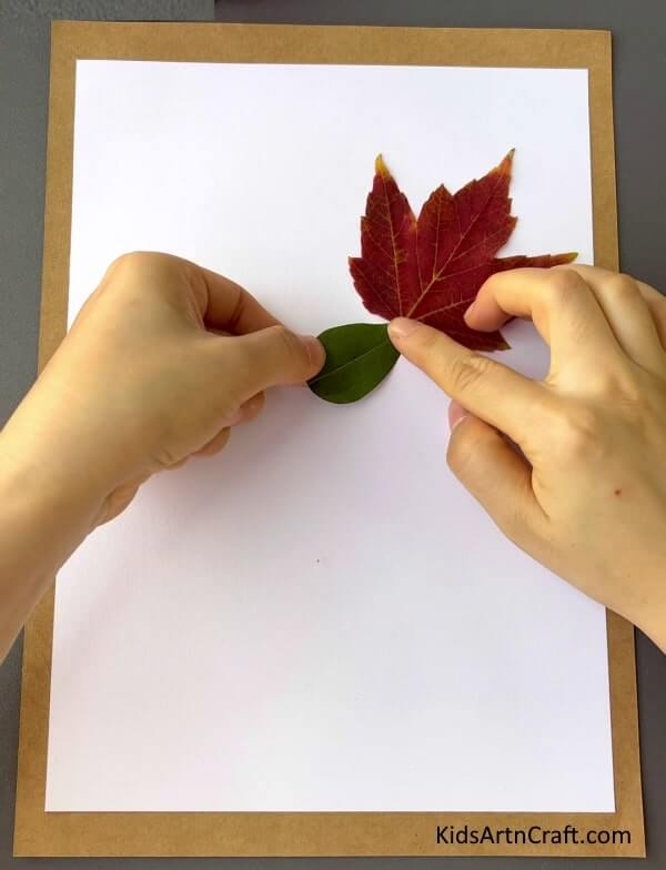  Leaf Crafts For Kids To Enjoy In The Fall - all Leaves Art And Craft For Kids
