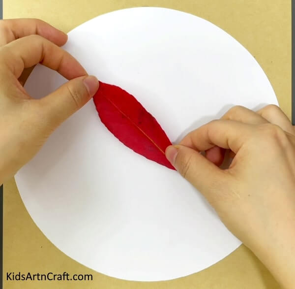 Find out how to fashion fox art and crafts using fall leaves - Fox Art And Craft Using Fall Leaves