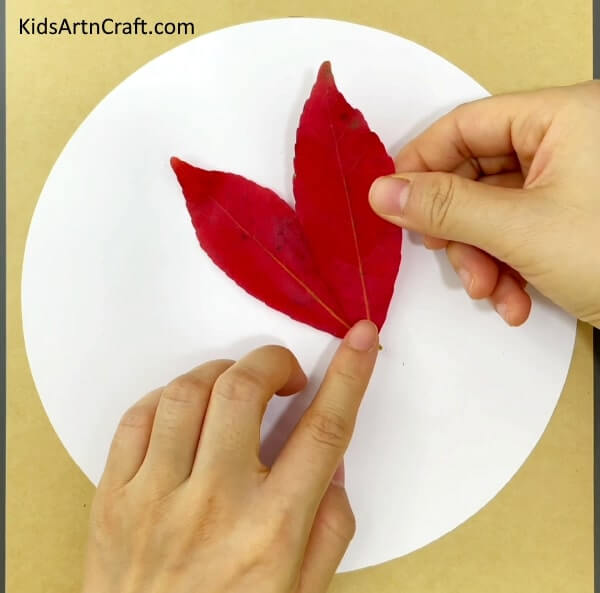 Become knowledgeable in constructing fox art and works from fall leaves - Fox Art And Craft Using Fall Leaves