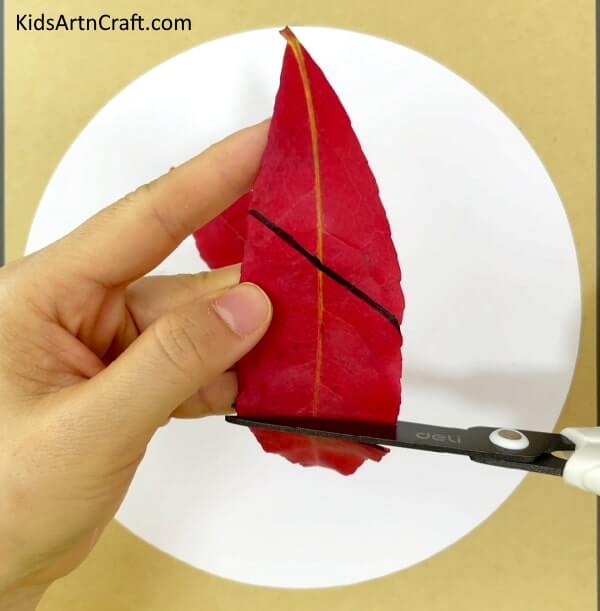 Learn to construct fox art and designs using fall leaves - Fox Art And Craft Using Fall Leaves