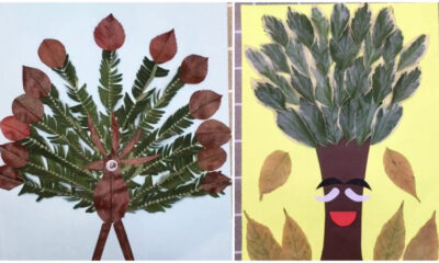 Try to Leaf Art & Craft Activities At home Video Tutorial for all