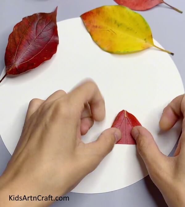 Pasting The Leaf On The Sheet-Crafting Pretty Fall Leaf Craft Easily with Youngsters 