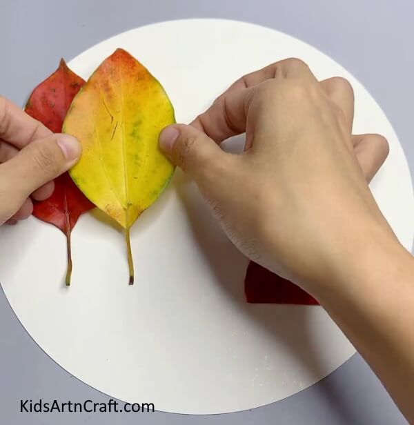Pasting More Leaves On The Same Sheet-Vibrant Fall Leaf Artwork Explained Simply for Kids 