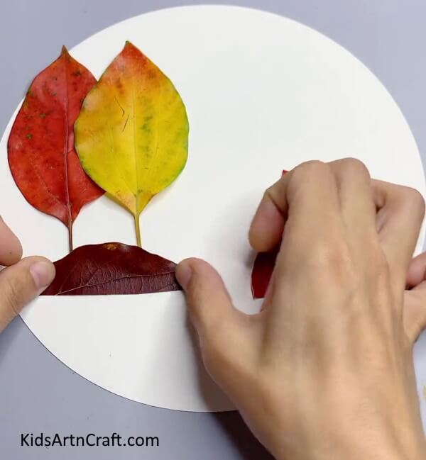 Pasting Half a Leaf One Last Time-How to Make Lovely Leaf Art Easily with Little Ones 