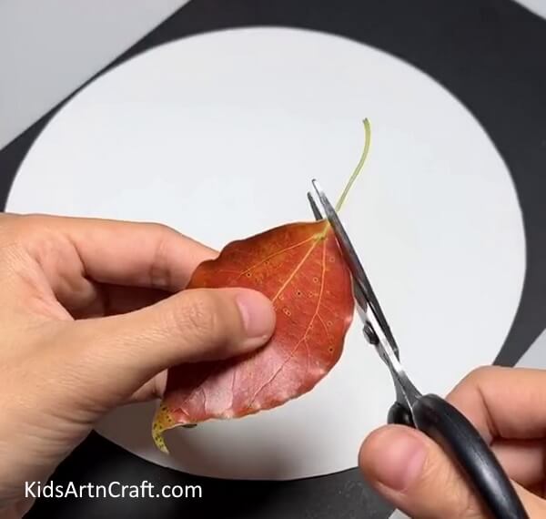 Prepare the Materials-Crafting Leaves into Fish - A Simple Guide for Children 