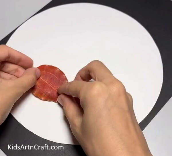 Glue the Trunk of the Fish-How to Create a Fish from Leaves - A Kid-Friendly Guide 