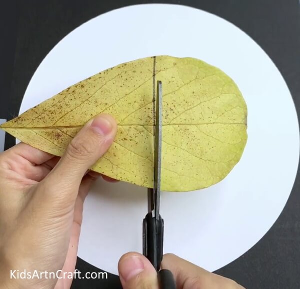 Cutting Leaf In Triangle - Here is a step-by-step guide on constructing a Leaf Cat