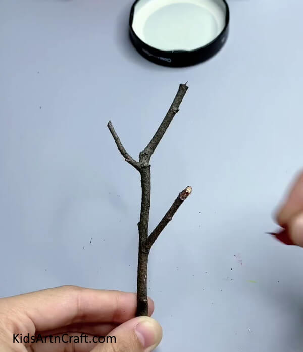 Taking A Stem Stick - Wall Decoration Artwork Craft Tutorial With Step-by-Step Directions