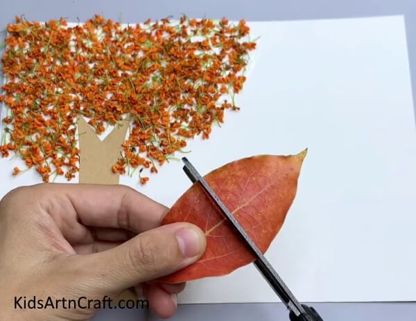 Cutting A Leaf In Half - Entertaining Fall Leaf Artwork For Children