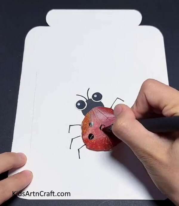 Drawing Details Using Black Pen - Crafting Ladybugs out of Paper & Leaves to Do at Home