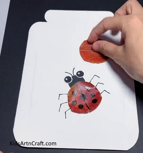 Making Another Ladybug - Constructing Ladybugs out of Paper & Leaves to Accomplish in Your Home