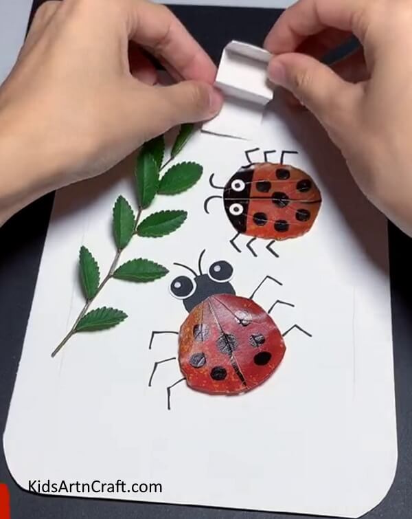 Pasting Paper On Top Of The Frame - Crafting Ladybugs with Paper & Leaves to Make in Your House