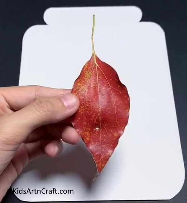 Getting A Leaf - Assemble a Ladybug with Paper and Leaves in Your Domestic Space