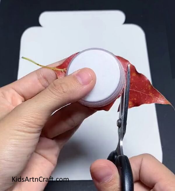 Cutting Leaf In Circle - Fabricate a Ladybug with Paper and Leaves In Your Home
