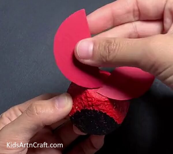 Pasting The Semicircles- Building a Ladybug Model from an Egg Carton from Reusing 
