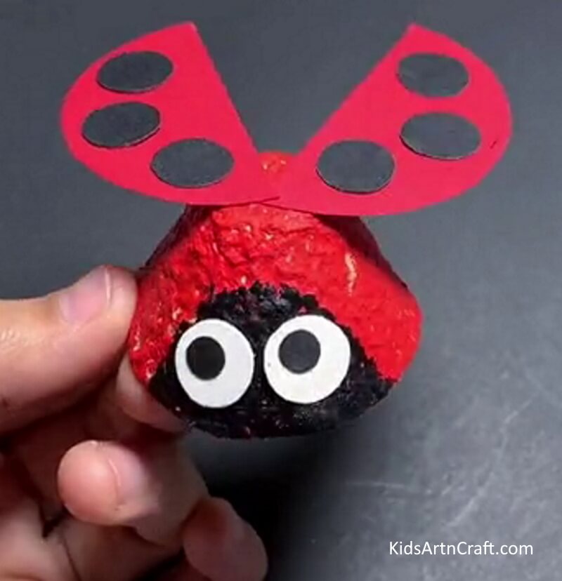 This Is The Final Look Of Our Egg Carton Ladybug!- Assembling a Ladybug Artwork with a Repurposed Egg Box