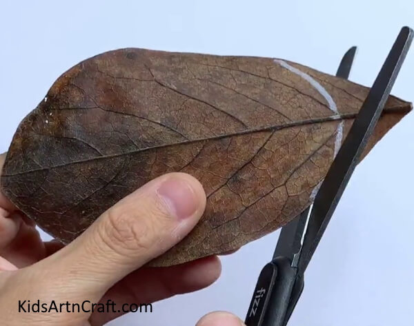 Create a Crease And Cut The Leaf Accordingly- Simple Leaf Art and Craft Ideas for Children 