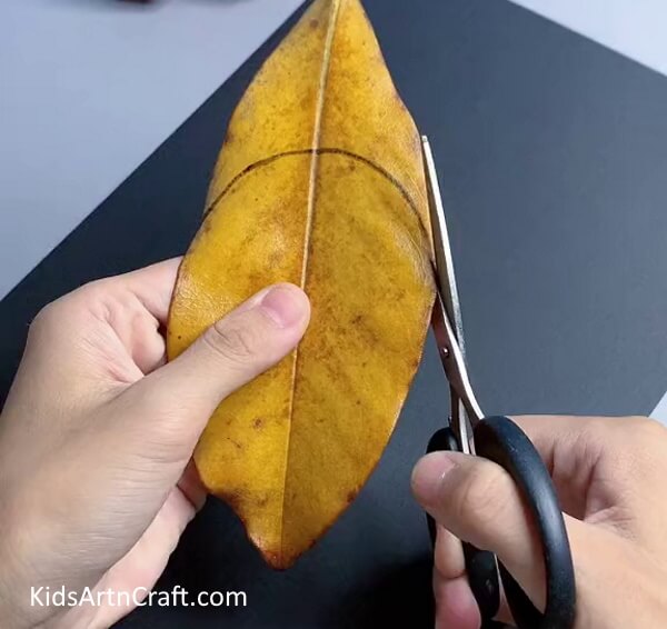 Leaf Collection And Shaping The Design Simple Leaf Art and Crafting Tutorial with Step-by-Step Instruction for Children