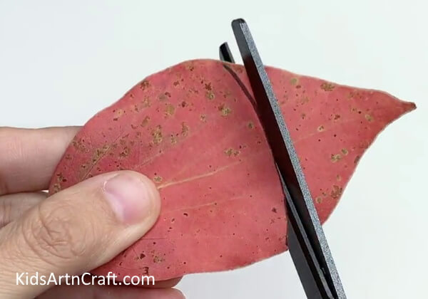 Cutting Red Leaf - Making your own artwork with leaves for the Fall.
