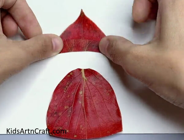 Pasting Curve-Shaped Leaf - Have some Fall fun and create artwork with leaves.