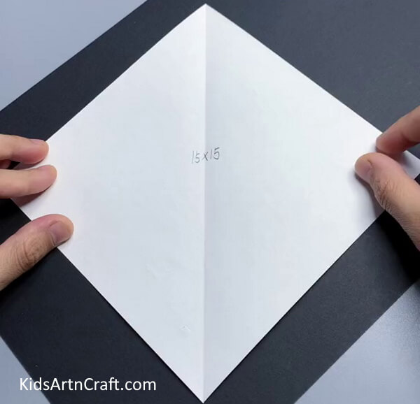 Turning Around Square Paper To Make Diamond Shape - Learn how to make a paper bird with this step-by-step guide.