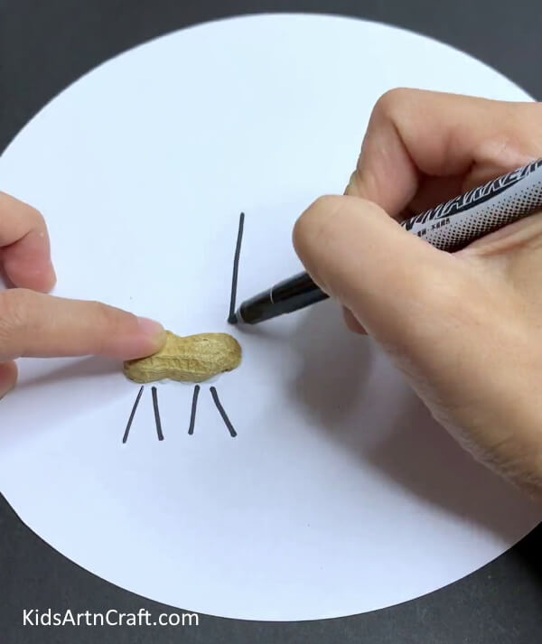 Drawing Giraffe Using Black Marker - Peanut Shells Used to Make a Giraffe Craft