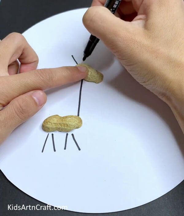 Making the Upper Body Of the Peanut - Constructing a Giraffe Model With Peanut Shells
